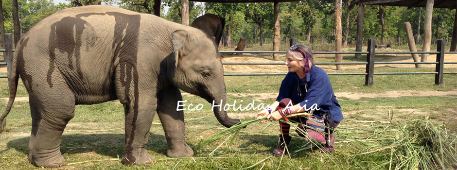 Playing-with-Baby-Elephant-in-Elephant-Breeding-center-Chitwan-Eco-Holiday-Asia