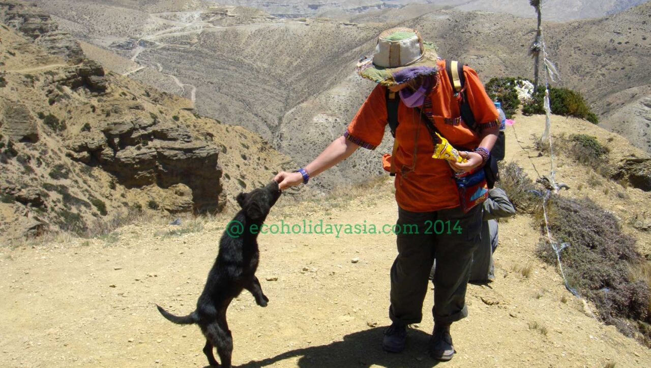 Upper Mustang Trek