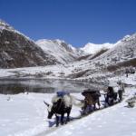 Types of Trekking in Nepal