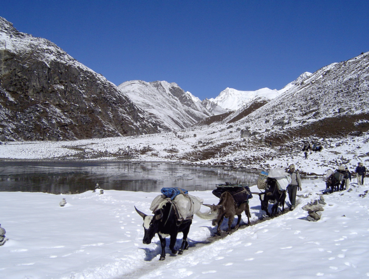 Types of Trekking in Nepal