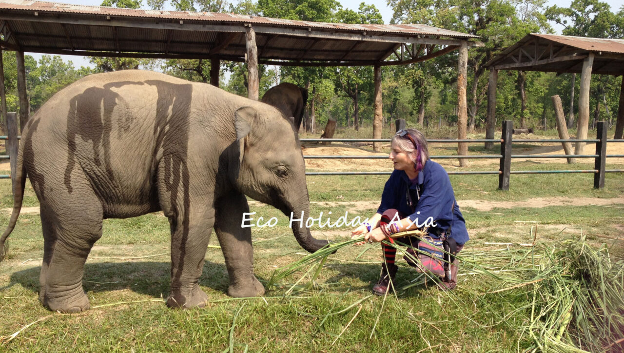 Kathmandu Pokhara Chitwan tour Nepal cultural journey