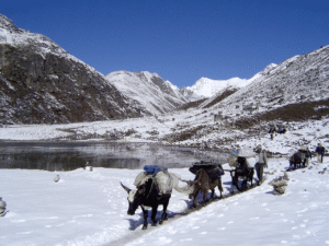 Everest Monasteries Trek — Buddhist Heritage Trail in the Khumbu